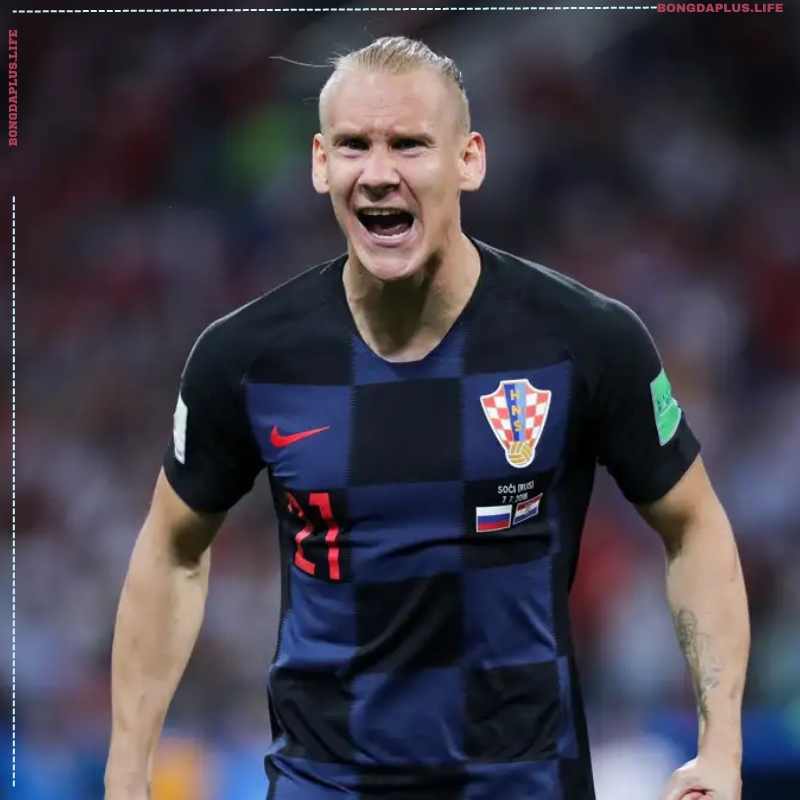 Domagoj Vida